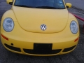 thumbs_Yellow-Beetle-After-2